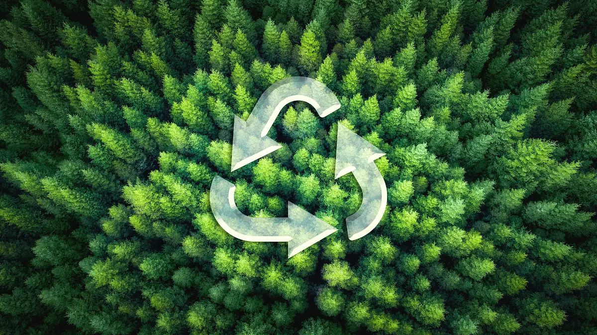 Chinese companies support Malaysia&#039;s green energy t