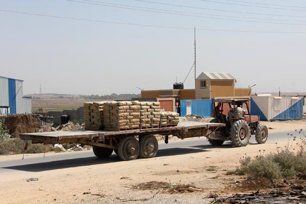 Gaza on the brink of famine: Israel suspends supplies, UN wa